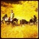 Twit' d'Enrique (3/3)