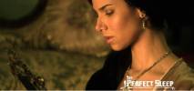 FBI : port�s disparus The Perfect Sleep 