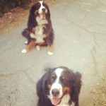 2012-06-20 10-07-00
