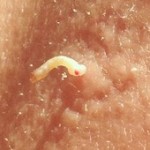 2012-07-17 21-12-00